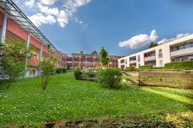 Ferienhaus, kinderfreundlich, urlaub mit hund, nordsee, natur, ostfriesische. Service Elisenstift