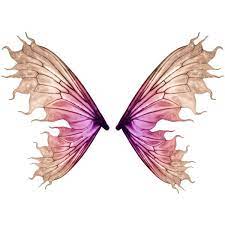 Pv Fairy Wings Png Fairy Wings Drawing Wings Drawing Butterfly Fairy Wings