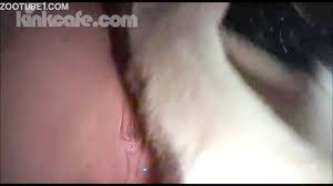 I Dont Miss The Opportunity To Fuck Me And He Cums On My Pussy -  Bestialitylovers - Watch Free Porn Video