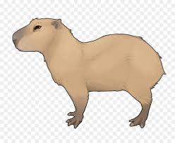 Todo lo que necesitás saber sobre carpinchos en argentina y en el mundo. Animal Figura Los Animales Terrestres Hocico Imagen Png Imagen Transparente Descarga Gratuita