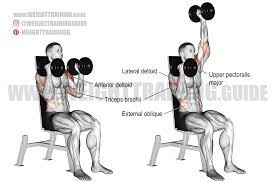 Starting at the upper chest, extend the. Seated Elbows In Alternating Dumbbell Overhead Press Exercise Instruction