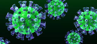 Image result for Virus