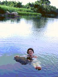 The Craziest Animals That Live In The Nile River You'D Never Want To  Encounter