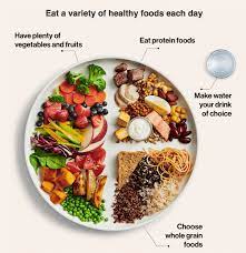 Your furry friend is definitely a member of the family. 10 Healthy Recipes For Weight Loss To Help You With Your Meal Plan Architecture Design Competitions Aggregator
