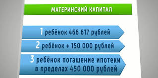 Matkapital Za Pervogo Rebenka Ryazanskie Mamy Rasskazali Naskolko Neobhodima Takaya Podderzhka Obshestvo Gtrk Oka