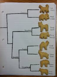 Pin By Midway Science On Science 5 8 Life Biology Activity High School Biology Classroom Biology Classroom