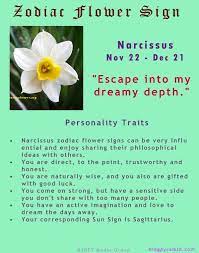 Narcissus November 22 December 21 Sagittarius Flower Zodiac Leo Constellation Tattoo