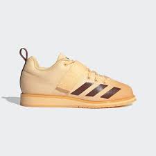 Stingray weightlifting bodybuilding gym shoe. 10 Weightlifting Shoes For Women Weight Lifting Trainers 2021