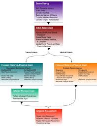 Patient Assessment Flow Chart Www Cprnmore Com Emergency