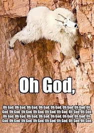 We did not find results for: Rock Climbing Funny Quotes Quotesgram