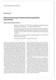 Image result for Entephria polata
