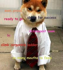Check spelling or type a new query. Got A Job Doge Know Your Meme