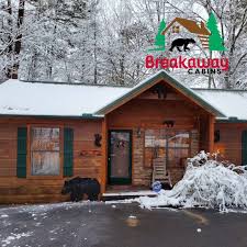 Know what to expect before you book. Bears Everywhere Cabin In Pigeon Forge Home Facebook