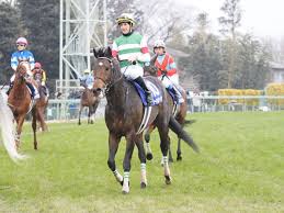 【競馬・ヴィクトリアマイル】グランアレグリア強すぎワロタwwww 競馬2chまとめ twitter facebook はてブ google+ pocket line 2021.05.16 1 : æœ‰é¦¬è¨˜å¿µ ã‚¹ãƒŸãƒ¨ãƒ³ å‹ã£ãŸé¦¬ãŒå¼·ã™ãŽãŸ ã‚µãƒ¼ãƒˆã‚¥ãƒ«ãƒŠãƒ¼ãƒªã‚¢ãŒ2ç€ã«é£›ã³è¾¼ã‚€ ç«¶é¦¬ãƒ‹ãƒ¥ãƒ¼ã‚¹ãªã‚‰ ç«¶é¦¬ã®ãŠã¯ãªã—