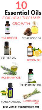 Most hair growth oils you can buy won't actually make hair grow faster, but rather promote. 10 Best Essential Oils For Healthy Hair Growth Millennial In Debt