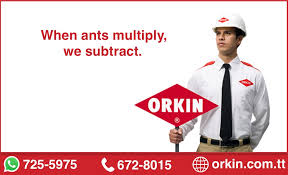 No pest issues since i began utilizing orkin 2. Orkin Caricontractors Com