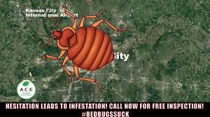 Bed bug bites in kansas city have been on the rise in recent years, especially due to interstate travel, hotel accommodations, and used furniture purchases. Home Sos Pest Control