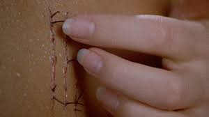 Amp™, 20.03.2021 | die gefälschte nachricht über den tod von geena davis, die am freitagabend über den nachrichtendienst twitter verbreitet wurde, hat eine bis dahin ungekannt heftige reaktion der medien hervorgerufen. Igittigitt Die Fliege Usa 1986 Von David Cronenberg Review