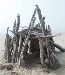 I Had To Share Some Of The Driftwood Shacks My Daughter And I Found At Moolack Driftwood Driftwood Beach Sea Shanties