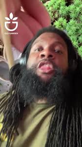 Can we block the people that are lying to us about plants? 🚫🪴, For these  plants to be under our care, we sure aren’t treating them right. Why follow  folks who are out here deliberately poking holes in ...