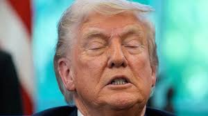 Vote Glas-Castro, Michael Hinsley and Judith Thomas in Lake Park elections 