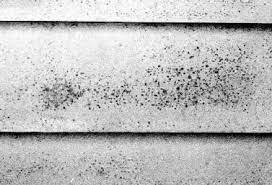 Black sooty stains on your walls and ceilings that follow the patterns of the framing. Ncr 134