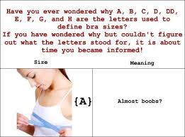 What The Different Women S Bra Sizes Really Mean Allfactsandmore Bra Sizes Bra Womens Bras