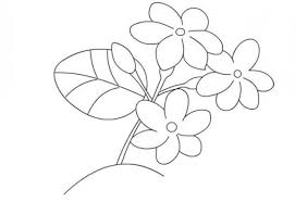 Download gambar mewarnai bunga gratis. 50 Gambar Sketsa Bunga Indah Dan Mudah Sakura Mawar Melati Matahari Anggrek Tulip Lengkap