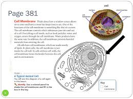 Maybe you would like to learn more about one of these? Introduction To Plant Animal Cells Chapter 10 Lesson 3 Ppt Download