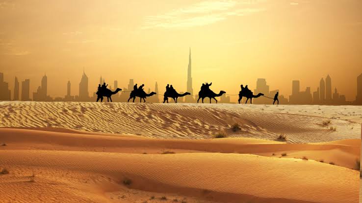 The Desert