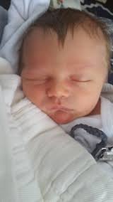 Baby Boy Fox, Sibling to Atlas and Gwendolyn