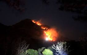 Check spelling or type a new query. Gunung Klotok Terbakar