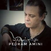 پدرام امینی ابیانه