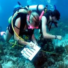 How To Become A Marine Biologist Marine Biology Marine Biologist Biologist