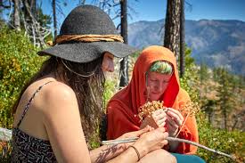 Wildcrafting Basics: Basic Botany and Plant Identification