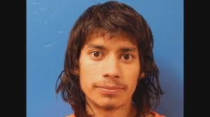 Cost of Crime: Berrien County family fights for adoptive rights after  double killing