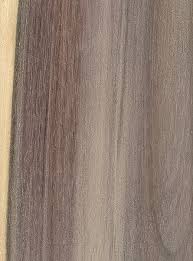 Folge deiner leidenschaft bei ebay! Blue Mahoe The Wood Database Lumber Identification Hardwood