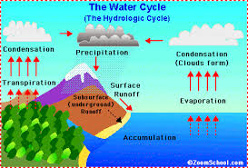 The Water Cycle Zoomschool Com
