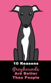 10 Reasons Why Greyhounds Are Better Than People Greyhound Dog Activities Dog Quotes