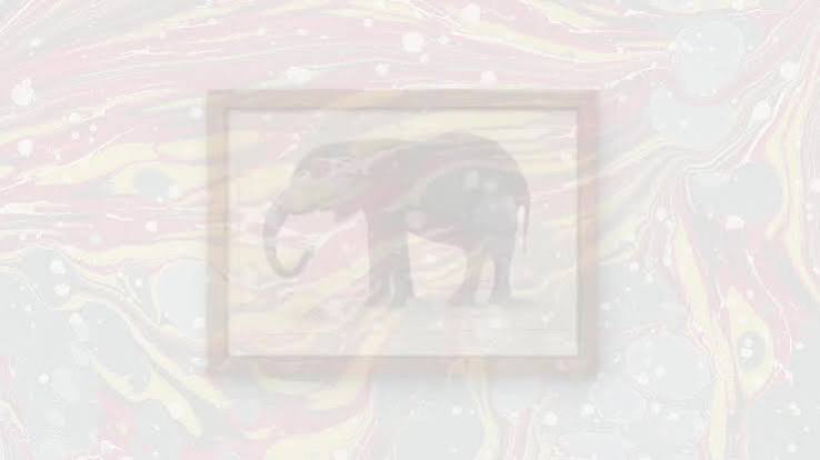 1850 Hand-Coloured BABY ELEPHANT Print - Engraving - Elephant Wall Art - Antique Elephant Print - Elephant Decor - 10 x 6.4 Inches