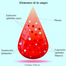 Che cos'è un leucemia mieloide cronica? Leucemia Mieloide Cronica Tipos Causas Y Sintomas