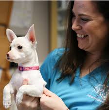 Several play sessions per day with naptimes for recharging. Veterinary Doctors In Dunedin Fl Animal Hospital Of Dunedin