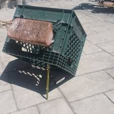 How to make homemade incubator. Cat Trap 4 Steps With Pictures Instructables
