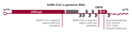 After about a week, signs and symptoms include: Sars Cov 2 Triplex Pcr Kit