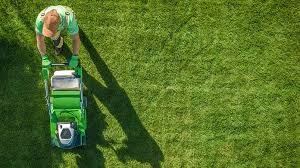 Lawn care business just like landscaping business is not one of those businesses that someone can start and make huge profit from without truly if you are familiar with the lawn care industry, you will notice that most lawn care companies do not restrict their services to only taking care of lawns. How Much Does It Cost To Hire A Lawn Mowing Service