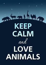 Pin By Francoise L On Keep Calm Keep Calm Calm Quotes Keep Calm And Love