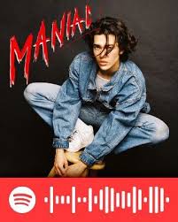 Maniac Code In 2020 Spotify Music Music Poster Ideas Aesthetic Songs