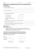 Incomplete and codominance worksheet name. What Are Incomplete Dominance And Codominance Printable 6th 12th Grade Teachervision