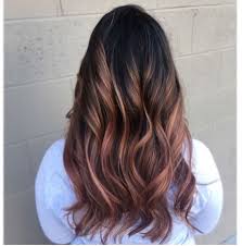 Hair Color Utah Hair Salon Ide Warna Rambut Rambut Rambut Panjang