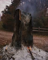 The photographer documenting Missouri's changing landscape